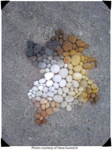 Integration+Image