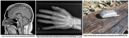 Adaptation+Image